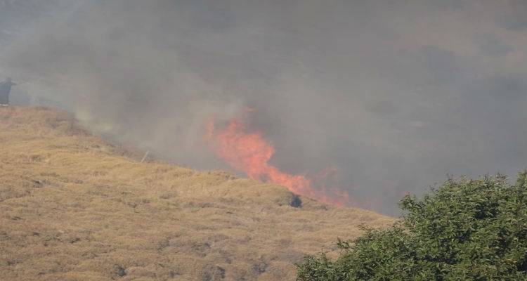 Ρίψεις νερού με ελικόπτερο στη φωτιά στις Σαρδές | 300 στρέμματα καμμένης γης ο απολογισμός (photo)