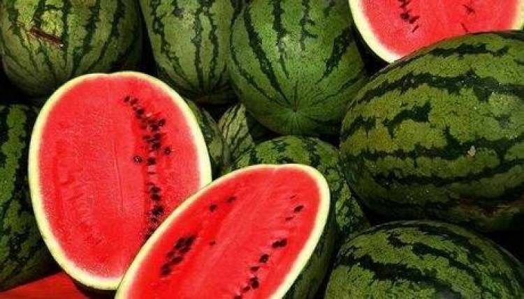 Διαμαρτύρονται οι Βούλγαροι για τα καρπούζια από την Ελλάδα