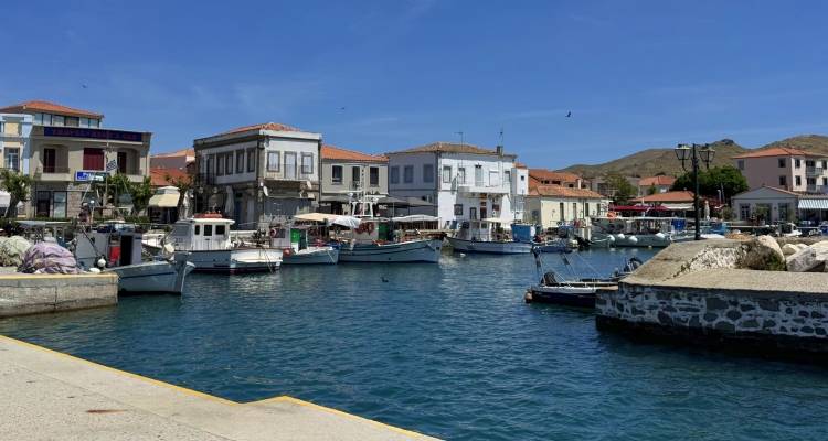 &laquo;&Mu;&pi;&lambda;ό&kappa;&omicron;&raquo; &alpha;&pi;ό &tau;&omicron; &Upsilon;&Pi;&Pi;&Omicron; &sigma;&epsilon; &xi;&epsilon;&nu;&omicron;&delta;&omicron;&chi;&epsilon;ί&omicron; 4 &alpha;&sigma;&tau;έ&rho;&omega;&nu; &sigma;&tau;&eta; &Mu;ύ&rho;&iota;&nu;&alpha; &Lambda;ή&mu;&nu;&omicron;&upsilon;