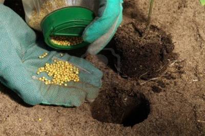 Ξεκινάει η προμήθεια λιμασμάτων σποράς από την «Ένωση»