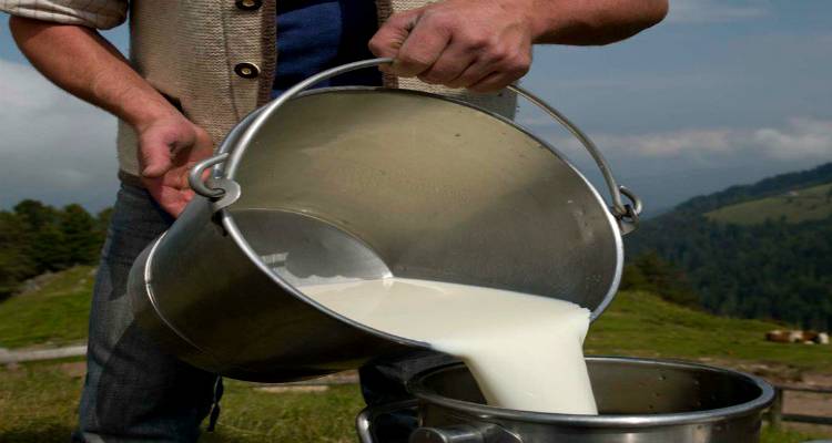 &Lambda;ή&mu;&nu;&omicron;&sigmaf;: &Epsilon;&nu;&tau;&upsilon;&pi;&omega;&sigma;&iota;&alpha;&kappa;ή ά&nu;&omicron;&delta;&omicron;&sigmaf; &sigma;&tau;&eta;&nu; &pi;&alpha;&rho;&alpha;&gamma;&omega;&gamma;ή &gamma;ά&lambda;&alpha;&tau;&omicron;&sigmaf; (mp3)