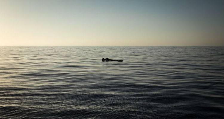 &Phi;ό&beta;&omicron;&iota; &gamma;&iota;&alpha; &pi;&omicron;&lambda;ύ&nu;&epsilon;&kappa;&rho;&omicron; &nu;&alpha;&upsilon;ά&gamma;&iota;&omicron; &mu;&epsilon; &mu;&epsilon;&tau;&alpha;&nu;ά&sigma;&tau;&epsilon;&sigmaf; &sigma;&tau;&eta; &Mu;&epsilon;&sigma;ό&gamma;&epsilon;&iota;&omicron;