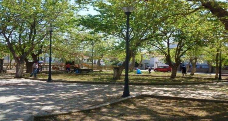 Καθαρισμός και φύτευση καλλωπιστικών φυτών στο πάρκο Ανδρωνίου