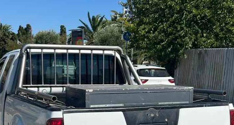 Εξέλιξη στην υπόθεση με την κακοποίηση σκύλων: 10.000 ευρώ πρόστιμο και αφαίρεση άδειας οπλοκατοχής