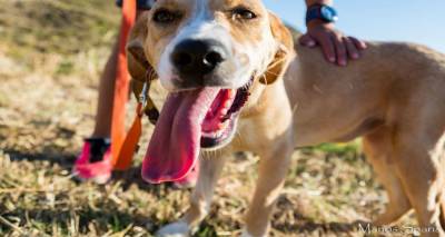 &Phi;&omega;&tau;&omicron;&gamma;&rho;&alpha;&phi;ί&alpha;: Manos Sparis