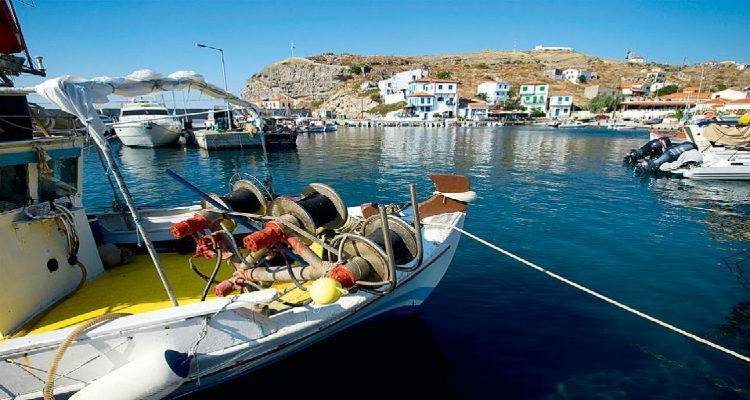 4 ώ&rho;&epsilon;&sigmaf; &sigma;&tau;&omicron; &pi;&lambda;&omicron;ί&omicron; &pi;&epsilon;&rho;&nu;&omicron;ύ&nu; &omicron;&iota; &kappa;ά&tau;&omicron;&iota;&kappa;&omicron;&iota; &tau;&omicron;&upsilon; &Alpha;&eta; &Sigma;&tau;&rho;ά&tau;&eta; &gamma;&iota;&alpha; &nu;&alpha; &beta;&gamma;ά&lambda;&omicron;&upsilon;&nu;  50 &epsilon;&upsilon;&rho;ώ &alpha;&pi;ό &tau;&eta; &Lambda;ή&mu;&nu;&omicron;