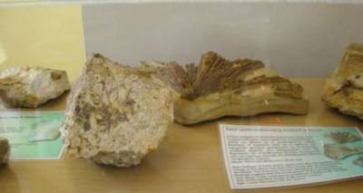 &Lambda;ή&mu;&nu;&omicron;&sigmaf;: &Tau;&omicron; &alpha;&pi;&omicron;&lambda;&iota;&theta;&omega;&mu;έ&nu;&omicron; &delta;ά&sigma;&omicron;&sigmaf; &mu;&epsilon; &tau;&omicron;&upsilon;&sigmaf; &mu;&omicron;&nu;&alpha;&delta;&iota;&kappa;&omicron;ύ&sigmaf; &theta;&eta;&sigma;&alpha;&upsilon;&rho;&omicron;ύ&sigmaf; &tau;&eta;&sigmaf; &phi;ύ&sigma;&eta;&sigmaf;