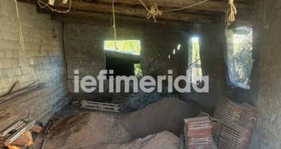 &Eta; &pi;&epsilon;&rho;ί&epsilon;&rho;&gamma;&eta; &sigma;&upsilon;&mu;&pi;&epsilon;&rho;&iota;&phi;&omicron;&rho;ά &tau;&eta;&sigmaf; &delta;&iota;&epsilon;&upsilon;&theta;ύ&nu;&tau;&rho;&iota;&alpha;&sigmaf; &Kappa;&Epsilon;&Pi; &sigma;&tau;&eta; &Beta;&omicron;&iota;&omega;&tau;ί&alpha; &pi;&omicron;&upsilon; έ&theta;&alpha;&psi;&epsilon; &tau;&eta; &mu;&eta;&tau;έ&rho;&alpha; &tau;&eta;&sigmaf; &sigma;&tau;&omicron;&nu; &sigma;&tau;ά&beta;&lambda;&omicron; -&Tau;&iota; &epsilon;&rho;&epsilon;&upsilon;&nu;&omicron;ύ&nu; &tau;ώ&rho;&alpha; &omicron;&iota; &Alpha;&rho;&chi;έ&sigmaf;