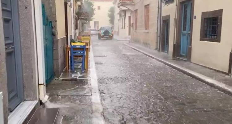 &Kappa;&alpha;&kappa;&omicron;&kappa;&alpha;&iota;&rho;ί&alpha; &laquo;Atena&raquo;: &Pi;&rho;&omicron;&epsilon;&iota;&delta;&omicron;&pi;&omicron;ί&eta;&sigma;&eta; &Alpha;&rho;&nu;&alpha;&omicron;ύ&tau;&omicron;&gamma;&lambda;&omicron;&upsilon; &gamma;&iota;&alpha; &alpha;&kappa;&rho;&alpha;ί&alpha; &phi;&alpha;&iota;&nu;ό&mu;&epsilon;&nu;&alpha; | &Pi;&omicron;&iota;&epsilon;&sigmaf; &pi;&epsilon;&rho;&iota;&omicron;&chi;έ&sigmaf; &theta;&alpha; &epsilon;&pi;&eta;&rho;&epsilon;&alpha;&sigma;&tau;&omicron;ύ&nu;