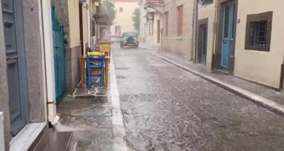 &Kappa;&alpha;&kappa;&omicron;&kappa;&alpha;&iota;&rho;ί&alpha; &laquo;Atena&raquo;: &Pi;&rho;&omicron;&epsilon;&iota;&delta;&omicron;&pi;&omicron;ί&eta;&sigma;&eta; &Alpha;&rho;&nu;&alpha;&omicron;ύ&tau;&omicron;&gamma;&lambda;&omicron;&upsilon; &gamma;&iota;&alpha; &alpha;&kappa;&rho;&alpha;ί&alpha; &phi;&alpha;&iota;&nu;ό&mu;&epsilon;&nu;&alpha; | &Pi;&omicron;&iota;&epsilon;&sigmaf; &pi;&epsilon;&rho;&iota;&omicron;&chi;έ&sigmaf; &theta;&alpha; &epsilon;&pi;&eta;&rho;&epsilon;&alpha;&sigma;&tau;&omicron;ύ&nu;