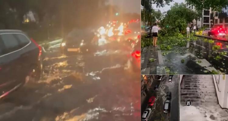 &Alpha;&pi;ί&sigma;&tau;&epsilon;&upsilon;&tau;&epsilon;&sigmaf; &epsilon;&iota;&kappa;ό&nu;&epsilon;&sigmaf; &alpha;&pi;ό &tau;&eta;&nu; &kappa;&alpha;&kappa;&omicron;&kappa;&alpha;&iota;&rho;ί&alpha; &sigma;&tau;&omicron; &Pi;&alpha;&rho;ί&sigma;&iota; -&Pi;&lambda;&eta;&mu;&mu;ύ&rho;&epsilon;&sigmaf;, &kappa;&alpha;&tau;&alpha;&sigma;&tau;&rho;&omicron;&phi;έ&sigmaf;, &mu;&pi;ή&kappa;&alpha;&nu; &nu;&epsilon;&rho;ά &sigma;&tau;&eta;&nu; &epsilon;&theta;&nu;&omicron;&sigma;&upsilon;&nu;έ&lambda;&epsilon;&upsilon;&sigma;&eta;, &delta;ύ&omicron; &nu;&epsilon;&kappa;&rho;&omicron;ί