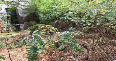 &Tau;&omicron;&nu; &kappa;&alpha;&theta;&alpha;&rho;&iota;&sigma;&mu;ό &tau;&omicron;&upsilon; &kappa;&lambda;&eta;&rho;&omicron;&delta;&omicron;&tau;ή&mu;&alpha;&tau;&omicron;&sigmaf; &laquo;&Alpha;&lambda;έ&xi;&alpha;&nu;&delta;&omicron;&upsilon; &Iota;&omega;&alpha;&nu;&nu;ί&delta;&eta;&raquo; &zeta;&eta;&tau;ά&epsilon;&iota; &omicron; &pi;&rho;ό&epsilon;&delta;&rho;&omicron;&sigmaf; &Kappa;&alpha;&lambda;&lambda;&iota;&theta;έ&alpha;&sigmaf;