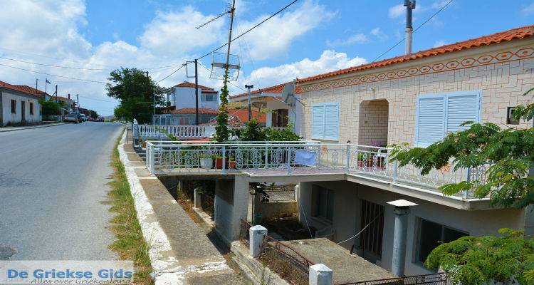 &Omicron; &Sigma;ύ&lambda;&lambda;&omicron;&gamma;&omicron;&sigmaf; &Alpha;&gamma;ί&omicron;&upsilon; &Delta;&eta;&mu;&eta;&tau;&rho;ί&omicron;&upsilon; &sigma;&tau;&omicron; &pi;&lambda;&epsilon;&upsilon;&rho;ό &tau;&omega;&nu; &epsilon;&upsilon;&pi;&alpha;&theta;ώ&nu; &kappa;&omicron;&iota;&nu;&omega;&nu;&iota;&kappa;ώ&nu; &omicron;&mu;ά&delta;&omega;&nu;