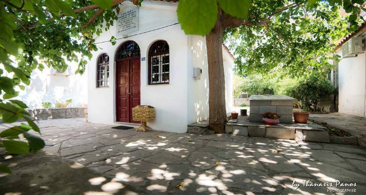 &Phi;&omega;&tau;&omicron;&gamma;&rho;&alpha;&phi;ί&alpha;: Thanasis Panos