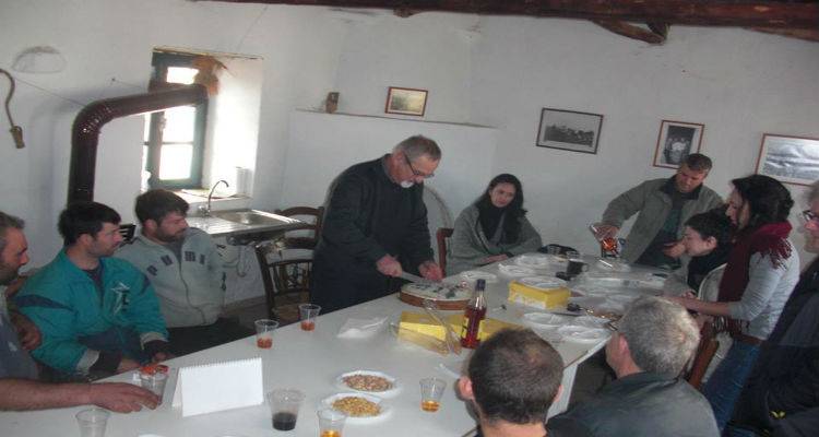 &Eta; &Beta;&alpha;&sigma;&iota;&lambda;ό&pi;&iota;&tau;&alpha; &tau;&eta;&sigmaf; &Pi;&alpha;&lambda;&iota;ά&sigmaf; &Mu;&eta;&tau;&rho;ό&pi;&omicron;&lambda;&eta;&sigmaf; (photos)