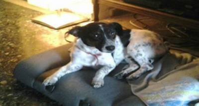 &Chi;ά&theta;&eta;&kappa;&epsilon; &omicron; &laquo;&Mu;ά&iota;&lambda;&omicron;&raquo; | &Mu;&pi;&omicron;&rho;&epsilon;ί&tau;&epsilon; &nu;&alpha; &beta;&omicron;&eta;&theta;ή&sigma;&epsilon;&tau;&epsilon;;