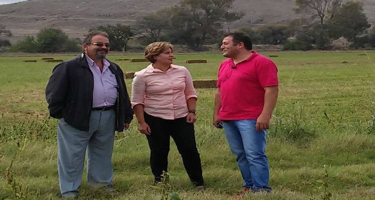 Στο Κτήμα Μητρόπολη σήμερα Καλογήρου - Αδαμίδης