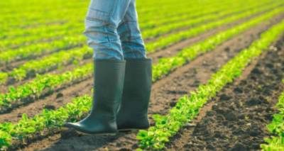 2.622.708,89&euro; &sigma;&epsilon; 823 &beta;&iota;&omicron;&kappa;&alpha;&lambda;&lambda;&iota;&epsilon;&rho;&gamma;&eta;&tau;έ&sigmaf; &sigma;&epsilon; &Lambda;ή&mu;&nu;&omicron; &kappa;&alpha;&iota; &Lambda;έ&sigma;&beta;&omicron;