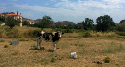 &Alpha;&pi;&omicron;&mu;&alpha;&kappa;&rho;ύ&nu;&theta;&eta;&kappa;&epsilon; &alpha;&pi;ό &tau;&iota;&sigmaf; &laquo;&Alpha;&mu;&upsilon;&gamma;&delta;&alpha;&lambda;&iota;έ&sigmaf;&raquo; &tau;&omicron; &beta;&omicron;&omicron;&epsilon;&iota;&delta;έ&sigmaf;