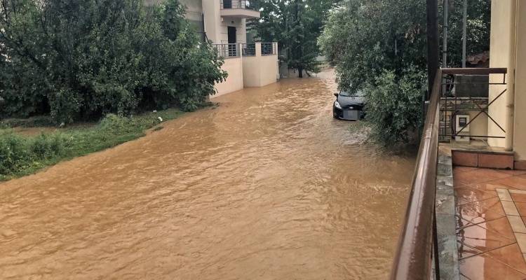 &Pi;&rho;&omicron;&epsilon;&iota;&delta;&omicron;&pi;&omicron;ί&eta;&sigma;&eta; &Tau;&sigma;&alpha;&tau;&rho;&alpha;&phi;ύ&lambda;&lambda;&iota;&alpha; &gamma;&iota;&alpha; &Theta;&epsilon;&sigma;&sigma;&alpha;&lambda;ί&alpha;: &laquo;&Pi;&rho;&omicron;&sigma;&omicron;&chi;ή! &Sigma;&epsilon; 20 ώ&rho;&epsilon;&sigmaf; &theta;&alpha; &pi;έ&sigma;&epsilon;&iota; &tau;&omicron; &nu;&epsilon;&rho;ό &pi;&omicron;&upsilon; &pi;έ&phi;&tau;&epsilon;&iota; &sigma;&epsilon; 3 &mu;ή&nu;&epsilon;&sigmaf;&raquo;