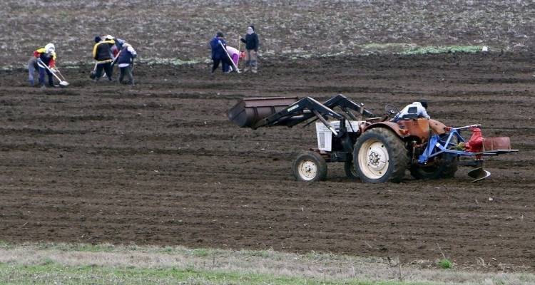 &Beta;ό&rho;&epsilon;&iota;&omicron; &Alpha;&iota;&gamma;&alpha;ί&omicron;: Έ&nu;&tau;&alpha;&xi;&eta; &Epsilon;&pi;&iota;&lambda;&alpha;&chi;ό&nu;&tau;&omega;&nu; &sigma;&tau;&omicron; &Pi;&rho;ό&gamma;&rho;&alpha;&mu;&mu;&alpha; &tau;&omega;&nu; &Nu;έ&omega;&nu; &Alpha;&gamma;&rho;&omicron;&tau;ώ&nu;