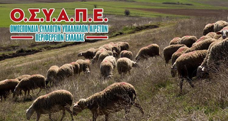 &quot;Ούτε σκέψη για αναγκαστική «μετακίνηση» κτηνιάτρων από την Ικαρία στην Λήμνο&quot;