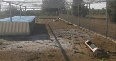 &Omicron;&lambda;&omicron;&kappa;&lambda;&eta;&rho;ώ&theta;&eta;&kappa;&epsilon; &omicron; &kappa;&lambda;&omega;&beta;ό&sigmaf; &pi;&rho;&omicron;&sigma;&alpha;&rho;&mu;&omicron;&gamma;ή&sigmaf; &theta;&eta;&rho;&alpha;&mu;ά&tau;&omega;&nu; &tau;&omicron;&upsilon; &Kappa;&upsilon;&nu;&eta;&gamma;&epsilon;&tau;&iota;&kappa;&omicron;ύ &Sigma;&upsilon;&lambda;&lambda;ό&gamma;&omicron;&upsilon; &Lambda;ή&mu;&nu;&omicron;&upsilon;