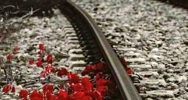 &Nu;ί&kappa;&omicron;&sigmaf; &Kappa;&alpha;&rho;ύ&delta;&eta;&sigmaf;: &Gamma;&iota;&alpha; ό&lambda;&omicron;&upsilon;&sigmaf; &alpha;&upsilon;&tau;&omicron;ύ&sigmaf; &pi;&omicron;&upsilon; &phi;ύ&gamma;&alpha;&nu;&epsilon; &amp; &gamma;&iota;&alpha; ό&lambda;&omicron;&upsilon;&sigmaf; &epsilon;&mu;ά&sigmaf; &pi;&omicron;&upsilon; &mu;έ&nu;&omicron;&upsilon;&mu;&epsilon; &pi;ί&sigma;&omega;&hellip;