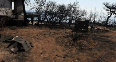 &Beta;&alpha;&rho;&beta;ά&rho;&alpha; &Phi;ύ&tau;&rho;&omicron;&upsilon;: &Eta; &alpha;&sigma;&upsilon;&nu;&epsilon;&nu;&nu;&omicron;&eta;&sigma;ί&alpha; &kappa;&alpha;&iota; &eta; &sigma;ύ&gamma;&chi;&upsilon;&sigma;&eta; &delta;&eta;&mu;&omicron;&sigma;ί&omega;&nu; &upsilon;&pi;&eta;&rho;&epsilon;&sigma;&iota;ώ&nu; έ&kappa;&alpha;&psi;&epsilon; &tau;&omicron;&upsilon;&sigmaf; &alpha;&nu;&theta;&rho;ώ&pi;&omicron;&upsilon;&sigmaf; &mu;&omicron;&upsilon;