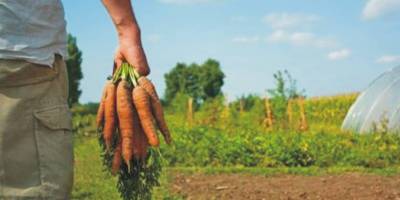 Ερώτηση βουλευτών του ΣΥΡΙΖΑ για τους βιοκαλλιεργητές