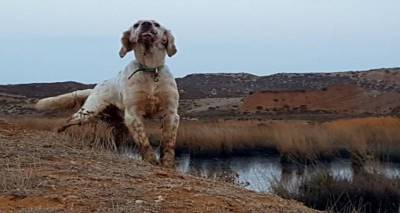 &Lambda;ή&mu;&nu;&omicron;&sigmaf;: &Chi;ά&theta;&eta;&kappa;&epsilon; &Alpha;&gamma;&gamma;&lambda;&iota;&kappa;ό &sigma;έ&tau;&epsilon;&rho; (photos)