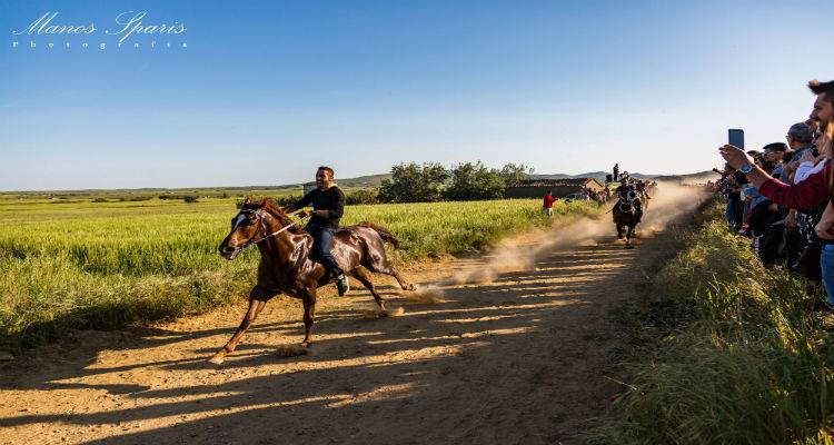 Εντάσεις αμαύρωσαν τις ιπποδρομίες της Καλλιόπης (video + photos)
