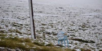 Έ&pi;&epsilon;&sigma;&alpha;&nu; &tau;&alpha; &pi;&rho;ώ&tau;&alpha; &chi;&iota;ό&nu;&iota;&alpha; &sigma;&tau;&eta; &Beta;ό&rho;&epsilon;&iota;&alpha; &Epsilon;&lambda;&lambda;ά&delta;&alpha;