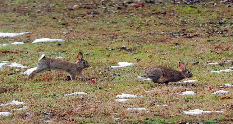 &Pi;.&Epsilon;. &Lambda;ή&mu;&nu;&omicron;&upsilon;: &Epsilon;&pi;&iota;&sigma;&tau;&omicron;&lambda;ή &pi;&rho;&omicron;&sigmaf; &tau;&omicron;&nu; &Upsilon;&pi;&omicron;&upsilon;&rho;&gamma;ό &Alpha;&gamma;&rho;&omicron;&tau;&iota;&kappa;ή&sigmaf; &Alpha;&nu;ά&pi;&tau;&upsilon;&xi;&eta;&sigmaf; &kappa;&alpha;&iota; &Tau;&rho;&omicron;&phi;ί&mu;&omega;&nu;