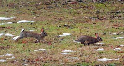 &Pi;.&Epsilon;. &Lambda;ή&mu;&nu;&omicron;&upsilon;: &Epsilon;&pi;&iota;&sigma;&tau;&omicron;&lambda;ή &pi;&rho;&omicron;&sigmaf; &tau;&omicron;&nu; &Upsilon;&pi;&omicron;&upsilon;&rho;&gamma;ό &Alpha;&gamma;&rho;&omicron;&tau;&iota;&kappa;ή&sigmaf; &Alpha;&nu;ά&pi;&tau;&upsilon;&xi;&eta;&sigmaf; &kappa;&alpha;&iota; &Tau;&rho;&omicron;&phi;ί&mu;&omega;&nu;