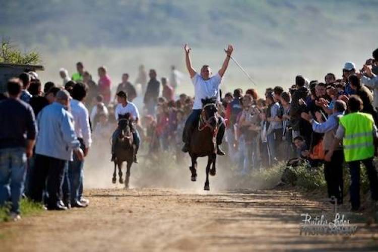 Σήμερα οι ιπποδρομίες στην Καλλιόπη