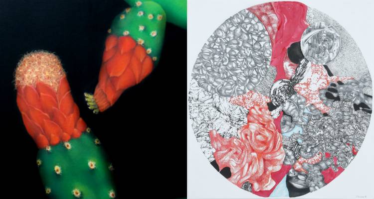 Natural Bonds: &Kappa;&omicron;&iota;&nu;ή έ&kappa;&theta;&epsilon;&sigma;&eta; &tau;&omega;&nu; &Delta;έ&sigma;&pi;&omicron;&iota;&nu;&alpha;&sigmaf; &Kappa;&omega;&nu;&sigma;&tau;&alpha;&nu;&tau;ί&nu;&omicron;&upsilon; &kappa;&alpha;&iota; &Nu;&tau;&omicron;&rho;ί&nu;&alpha;&sigmaf; &Mu;ά&lambda;&lambda;&iota;&omicron;&upsilon; &sigma;&tau;&omicron;&nu; &Chi;ώ&rho;&omicron; &Tau;έ&chi;&nu;&eta;&sigmaf; Ώ&chi;&rho;&alpha; &Mu;&pi;&lambda;&epsilon;