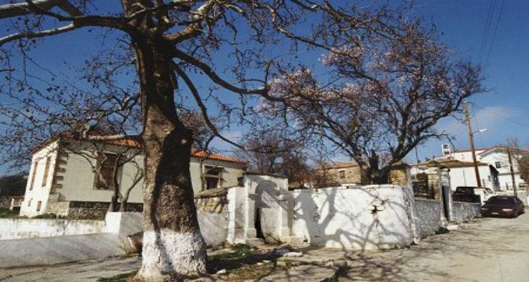 Φιλανθρωπική εκδήλωση στις Αγκαρυώνες με άρωμα Αγίου Όρους