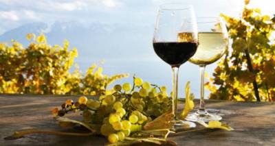 &Tau;&alpha; &kappa;&rho;&alpha;&sigma;&iota;ά &tau;&eta;&sigmaf; &Lambda;ή&mu;&nu;&omicron;&upsilon; &laquo;&tau;&alpha;&xi;&iota;&delta;&epsilon;ύ&omicron;&upsilon;&nu;&raquo; &sigma;&tau;&eta;&nu; &Alpha;&mu;&omicron;&rho;&gamma;ό