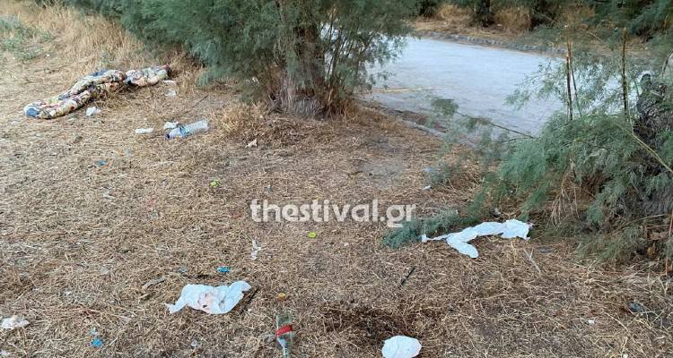 &Theta;&epsilon;&sigma;&sigma;&alpha;&lambda;&omicron;&nu;ί&kappa;&eta;: &Sigma;&tau;&alpha; &chi;έ&rho;&iota;&alpha; &tau;&eta;&sigmaf; &Epsilon;&Lambda;.&Alpha;&Sigma;. &omicron; &delta;&rho;ά&sigma;&tau;&eta;&sigmaf; &tau;&eta;&sigmaf; ά&gamma;&rho;&iota;&alpha;&sigmaf; &delta;&omicron;&lambda;&omicron;&phi;&omicron;&nu;ί&alpha;&sigmaf; &tau;&eta;&sigmaf; 55&chi;&rho;&omicron;&nu;&eta;&sigmaf;