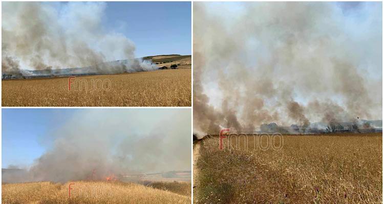 Υπό έλεγχο η φωτιά στο Προπούλι | Κάηκαν 40 στρέμματα αθέριστα σιτηρά