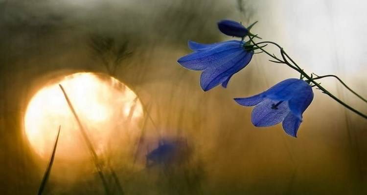 Σκέψεις περί… θετικής σκέψης