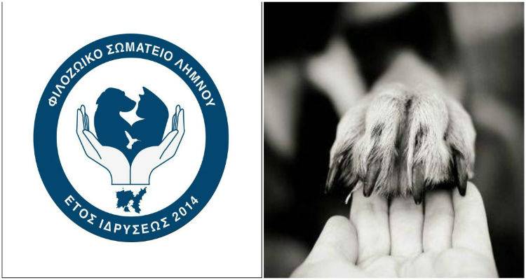 Κόβει κάθε επαφή το «Φιλοζωικό Σωματείο Λήμνου» από το «Animal Rescue Lemnos»