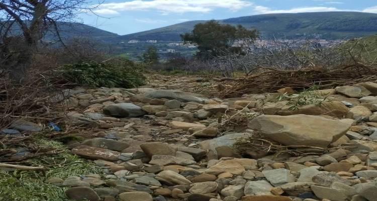 &laquo;&Tau;&omicron;&upsilon; &Mu;&omicron;&lambda;&upsilon;&beta;&omicron;ύ &omicron; &lambda;ά&kappa;&omicron;&sigmaf;&raquo;: &Eta; &tau;&rho;&alpha;&gamma;&iota;&kappa;ή &iota;&sigma;&tau;&omicron;&rho;ί&alpha; &pi;ί&sigma;&omega; &alpha;&pi;ό &tau;&omicron; &tau;&omicron;&pi;&omega;&nu;ύ&mu;&iota;&omicron; &sigma;&tau;&omicron;&nu; &Kappa;ά&sigma;&pi;&alpha;&kappa;&alpha;