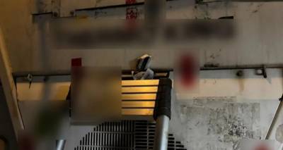 &Pi;&epsilon;&iota;&rho;&alpha;&iota;ά&sigmaf;: &Omicron;&iota; &rho;ό&lambda;&omicron;&iota; &kappa;&alpha;&iota; &eta; &delta;&rho;ά&sigma;&eta; &tau;&omicron;&upsilon; &kappa;&upsilon;&kappa;&lambda;ώ&mu;&alpha;&tau;&omicron;&sigmaf; &kappa;&omicron;&kappa;&alpha;ΐ&nu;&eta;&sigmaf; | &Tau;&iota; &iota;&sigma;&chi;&upsilon;&rho;ί&sigma;&tau;&eta;&kappa;&epsilon; &sigma;&tau;&eta;&nu; &alpha;&pi;&omicron;&lambda;&omicron;&gamma;ί&alpha; &omicron; &phi;&epsilon;&rho;ό&mu;&epsilon;&nu;&omicron;&sigmaf; &alpha;&rho;&chi;&eta;&gamma;ό&sigmaf;