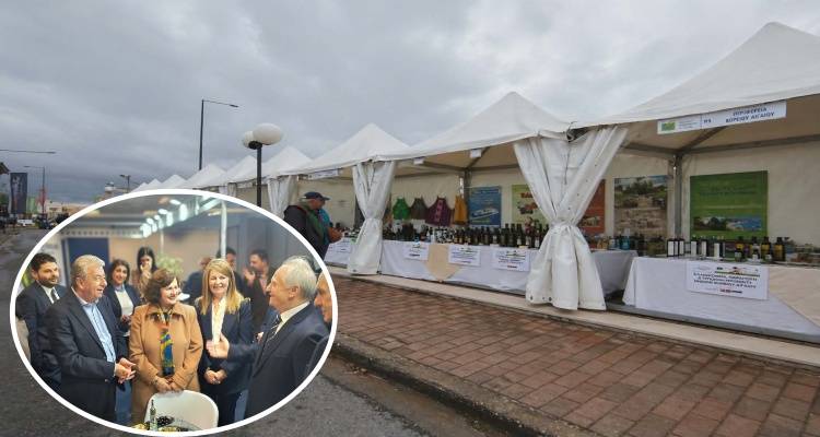 &Eta; &Lambda;ή&mu;&nu;&omicron;&sigmaf; &sigma;&tau;&omicron; 11&omicron; &Phi;&epsilon;&sigma;&tau;&iota;&beta;ά&lambda; &Epsilon;&lambda;&alpha;&iota;&omicron;&lambda;ά&delta;&omicron;&upsilon; &amp; &Epsilon;&lambda;&iota;ά&sigmaf; &sigma;&tau;&eta;&nu; &Kappa;&rho;ή&tau;&eta; | &Delta;&upsilon;&nu;&alpha;&mu;&iota;&kappa;ή &pi;&alpha;&rho;&omicron;&upsilon;&sigma;ί&alpha; &tau;&omega;&nu; &tau;&omicron;&pi;&iota;&kappa;ώ&nu; &epsilon;&pi;&iota;&chi;&epsilon;&iota;&rho;ή&sigma;&epsilon;&omega;&nu;