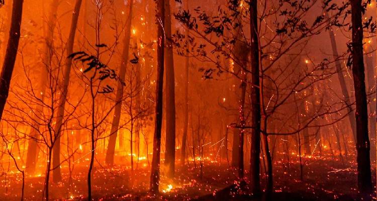 &Pi;ώ&sigmaf; &omicron;&iota; mega-fires &sigma;&epsilon; &mu;&iota;&alpha; &epsilon;&beta;&delta;&omicron;&mu;ά&delta;&alpha; &kappa;&alpha;&tau;έ&kappa;&alpha;&psi;&alpha;&nu; &Iota;&sigma;&pi;&alpha;&nu;ί&alpha;-&Pi;&omicron;&rho;&tau;&omicron;&gamma;&alpha;&lambda;ί&alpha;-&Gamma;&alpha;&lambda;&lambda;ί&alpha; | &Pi;&rho;&omega;&tau;ό&gamma;&nu;&omega;&rho;&omicron;&sigmaf; &kappa;&alpha;ύ&sigma;&omega;&nu;&alpha;&sigmaf; &gamma;&omicron;&nu;&alpha;&tau;ί&zeta;&epsilon;&iota; &tau;&eta;&nu; &Epsilon;&upsilon;&rho;ώ&pi;&eta;