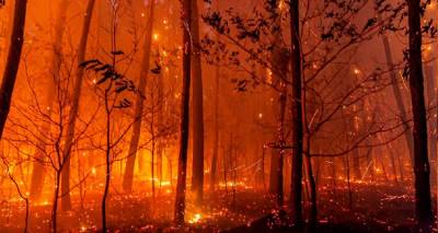 &Pi;ώ&sigmaf; &omicron;&iota; mega-fires &sigma;&epsilon; &mu;&iota;&alpha; &epsilon;&beta;&delta;&omicron;&mu;ά&delta;&alpha; &kappa;&alpha;&tau;έ&kappa;&alpha;&psi;&alpha;&nu; &Iota;&sigma;&pi;&alpha;&nu;ί&alpha;-&Pi;&omicron;&rho;&tau;&omicron;&gamma;&alpha;&lambda;ί&alpha;-&Gamma;&alpha;&lambda;&lambda;ί&alpha; | &Pi;&rho;&omega;&tau;ό&gamma;&nu;&omega;&rho;&omicron;&sigmaf; &kappa;&alpha;ύ&sigma;&omega;&nu;&alpha;&sigmaf; &gamma;&omicron;&nu;&alpha;&tau;ί&zeta;&epsilon;&iota; &tau;&eta;&nu; &Epsilon;&upsilon;&rho;ώ&pi;&eta;