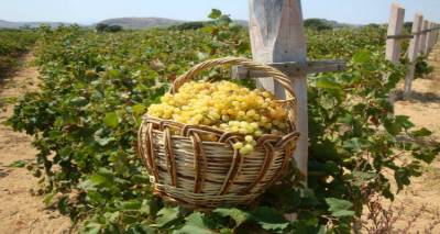 &Sigma;&epsilon; &kappa;&alpha;&tau;&omicron;&iota;&kappa;&omicron;ύ&nu;&epsilon; &theta;&epsilon;&omicron;ί, &xi;&epsilon;&lambda;&omicron;&gamma;&iota;ά&sigma;&tau;&rho;&alpha; &mu;&omicron;&upsilon; &Lambda;ή&mu;&nu;&omicron;