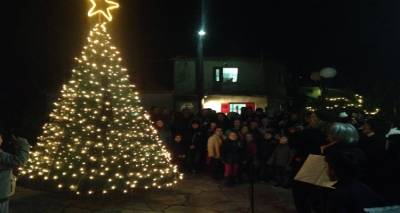 &Omicron; &Mu;&omicron;ύ&delta;&rho;&omicron;&sigmaf; &alpha;&nu;ά&beta;&epsilon;&iota; &tau;&omicron; &chi;&rho;&iota;&sigma;&tau;&omicron;&upsilon;&gamma;&epsilon;&nu;&nu;&iota;ά&tau;&iota;&kappa;&omicron; &delta;έ&nu;&tau;&rho;&omicron; &tau;&omicron;&upsilon;